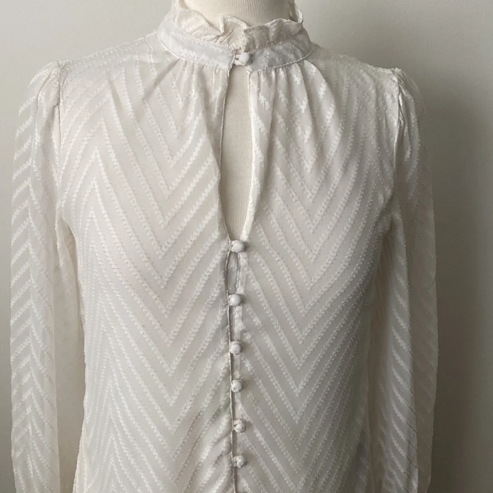 Walter Baker Long Sleeve Blouse Size XS - Picture 2 of 11